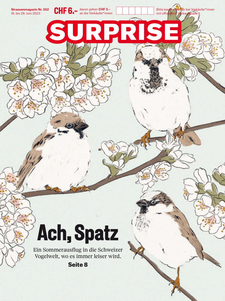 Ach, Spatz: Surprise 552 Cover